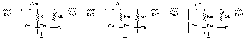 **Equivalent circuit of neuronal compartments**