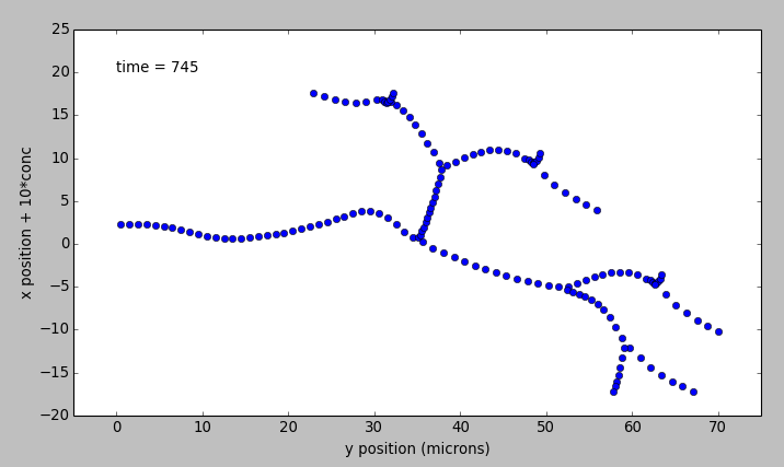 Pseudo-3-D rendition of branching neuron and the concs in it.